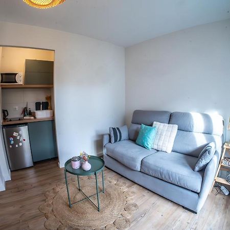 Studio Cosy - Espace Exterieur Et Proche Du Centre Annecy Bagian luar foto